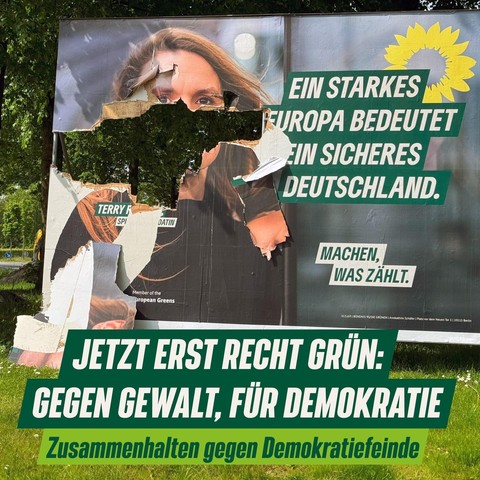 SharePic: Bild eines Wahlkampfwerbung-Wesselmann der Partei Bündnis90/Die Grünen. Aug dem Plakat: Spitzenkandidat Terry Reintke und Schrift 