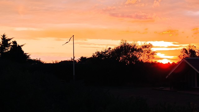 Sonnenaufgang gegen eine Baumreihe aufgenommen. Fast in der Mitte steht eine kleine Dannebrog Flagge. Der Himmel im Hintergrund ist leuchtend rot und die Baumreihe im Vordergrund schwarz.